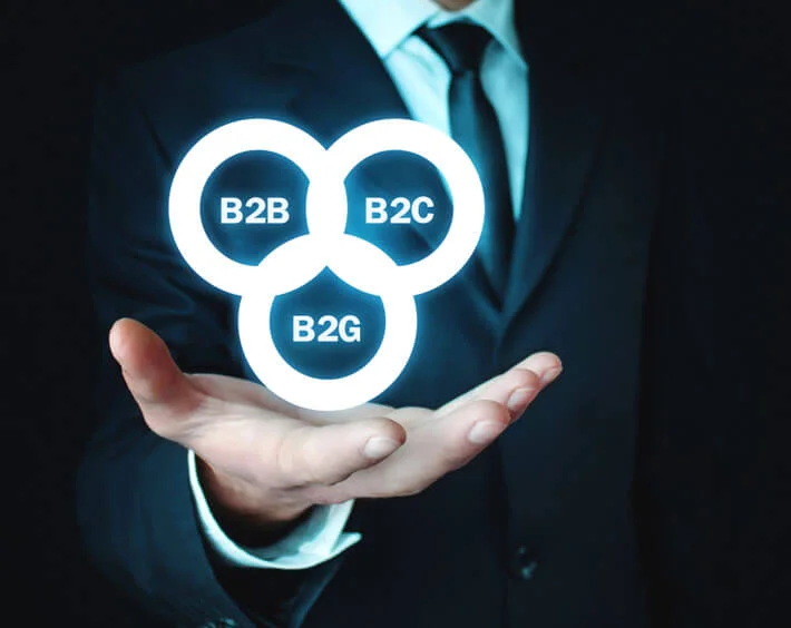 Expert B2B Portal Development by Appingine