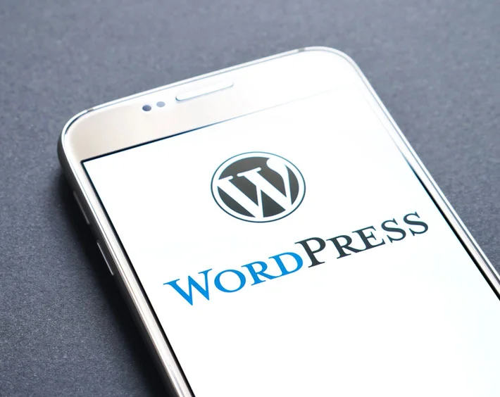 Appingine offers WordPress CMS Development Services in the USA